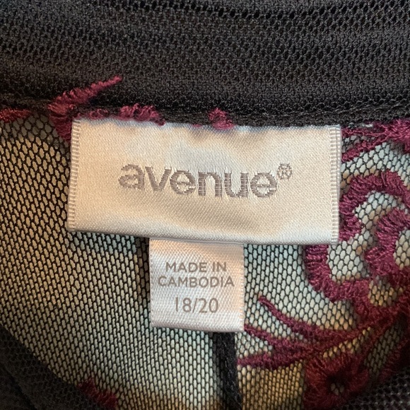 Avenue Sheer Embroidered Blouse - Picture 5 of 7